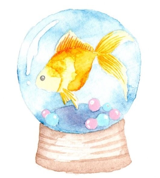 水彩イラスト 金魚のスノードーム ヨタ日誌